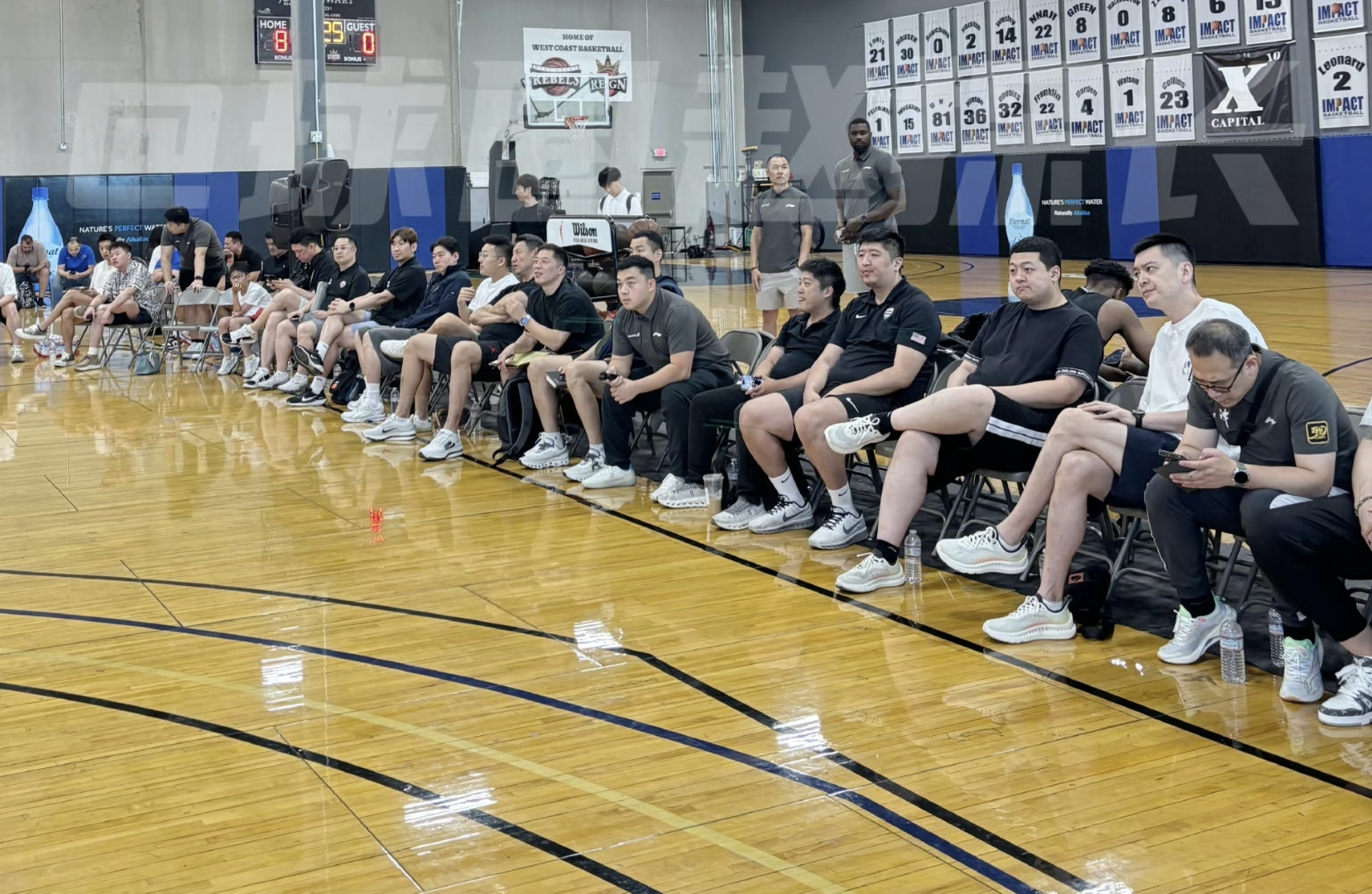 开云官网-一匹出色的马柯柯